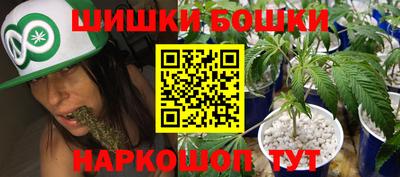 сатива Жуковский